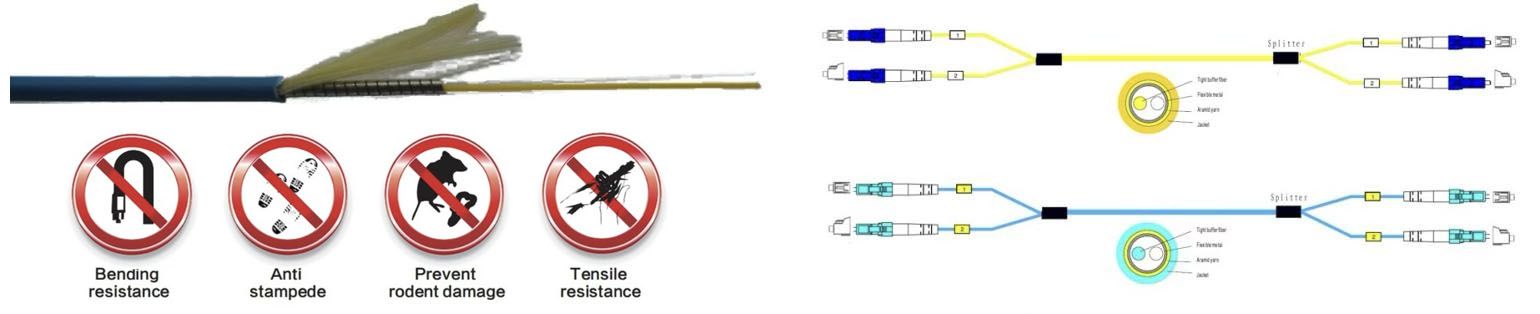 Armored fiber optic